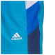 Adidas Ανδρικό μαγιό Colorblock Clx